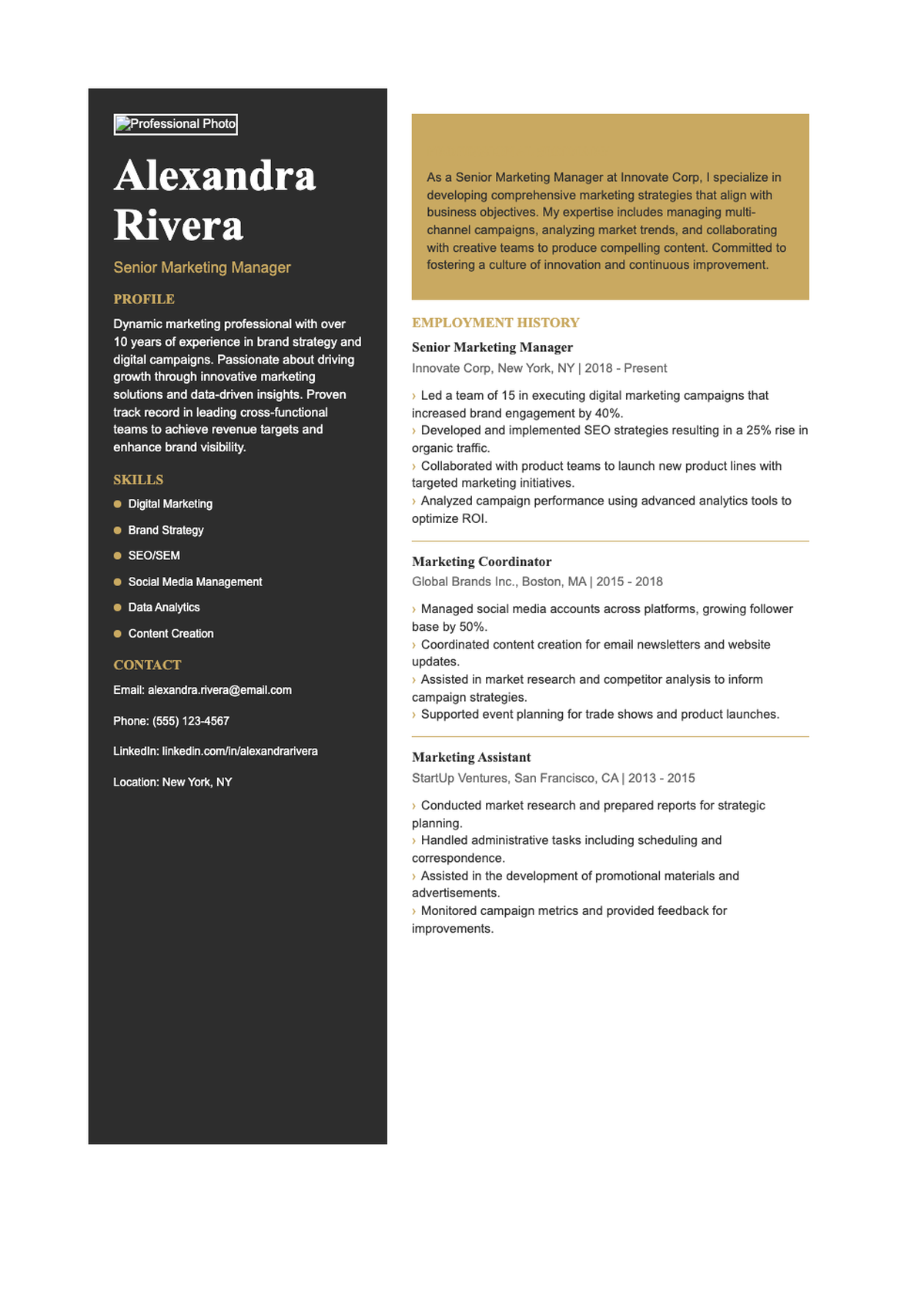 Professional two column resume template with skills bars and profile section_variant_3